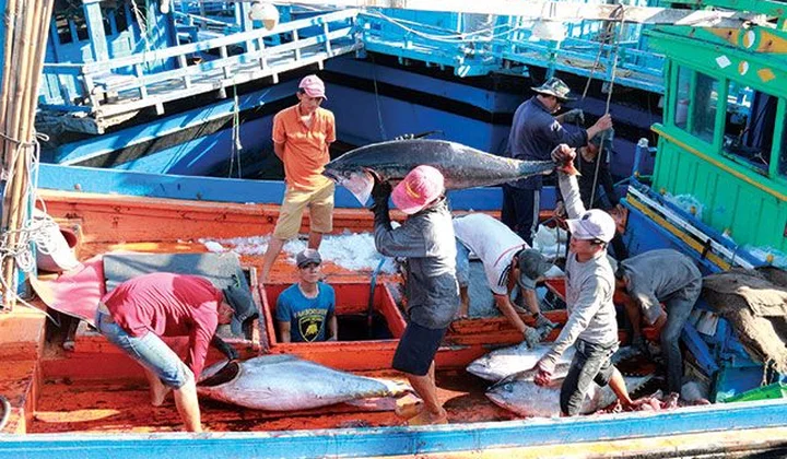 Chương trình quốc gia phát triển khai thác thủy sản hiệu quả, bền vững