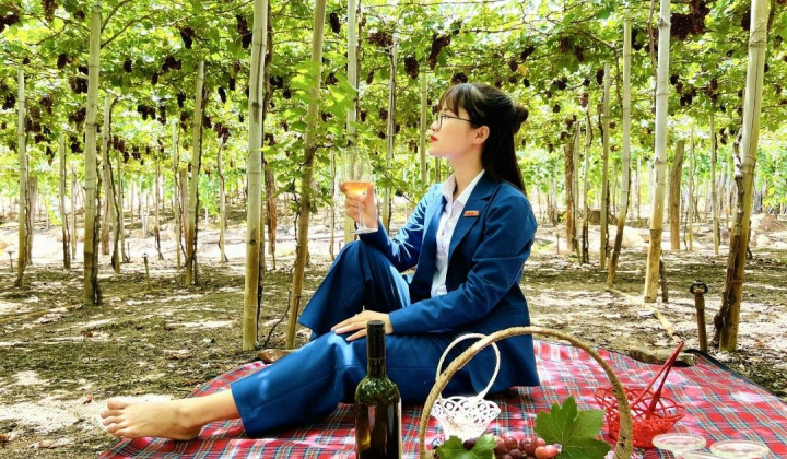 Ngày Văn hóa - Du lịch Ninh Thuận năm 2022 hứa hẹn nhiều sự kiện hấp dẫn