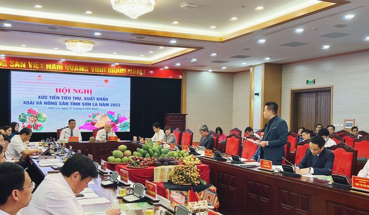 WinCommerce cam kết tiêu thụ 400 - 500 tấn xoài Sơn La