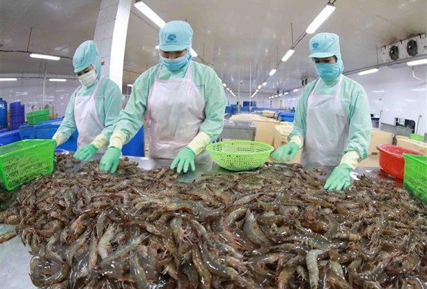 Dư luận quốc tế về tốc độ tăng trưởng của nền kinh tế Việt Nam