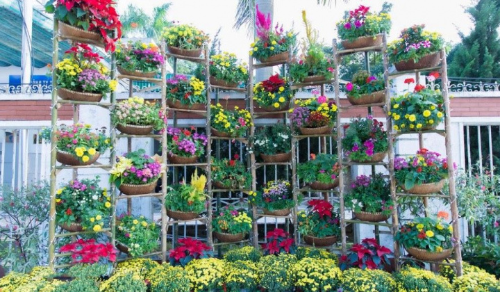 Nghệ An: Những hoạt động chào mừng Xuân Quý Mão 2023