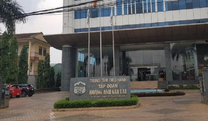 Công ty Cổ phần Hoàng Anh Gia Lai (HAG) bị phạt 261 triệu đồng vì khai sai tiền thuế