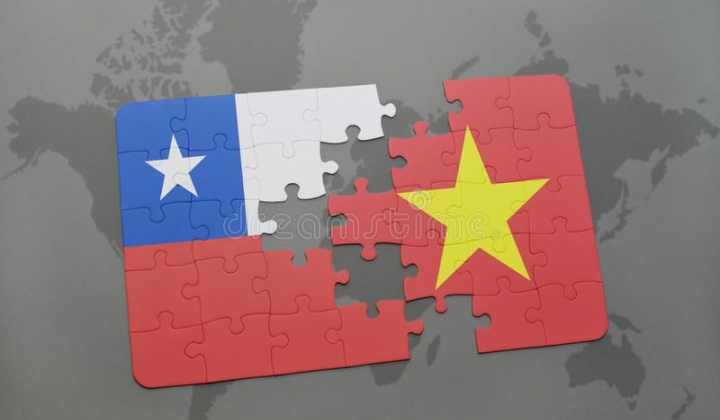 Biểu thuế nhập khẩu ưu đãi đặc biệt của Việt Nam - Chi Lê