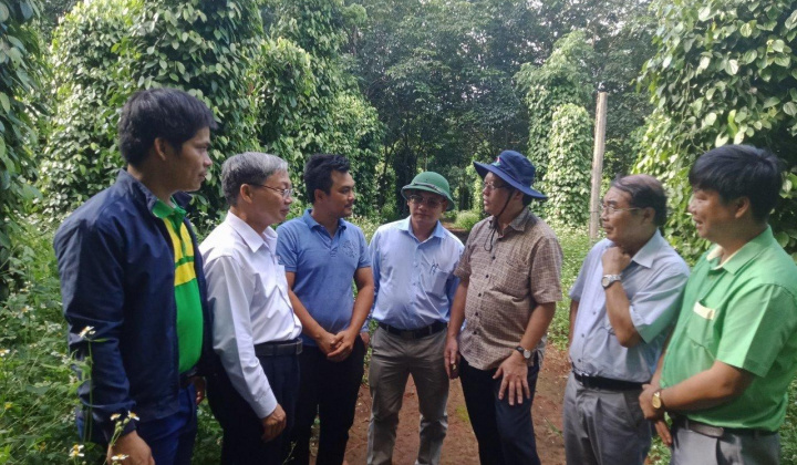 Góp phần giải bài toán phát triển nông nghiệp bền vững ở Tây Nguyên