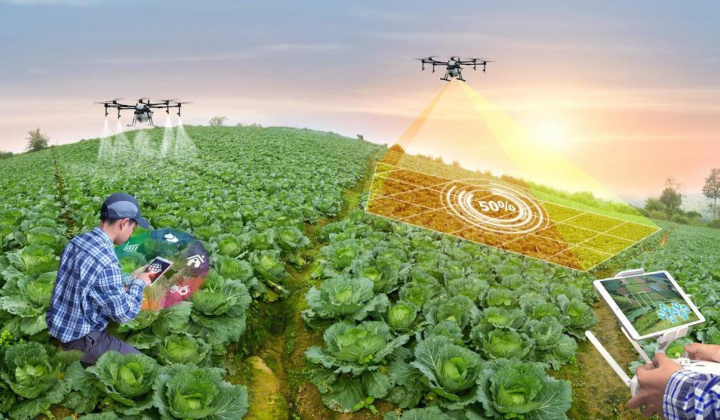 Phát triển nông nghiệp Việt Nam: Vấn đề đặt ra và một số giải pháp