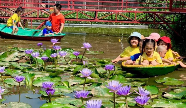Nông trại sắc màu - Điểm đến chân ái của mầm non tư thục Hà Nội
