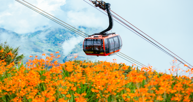 New York Times: “Nếu có thể đi cáp treo đến Đấu trường La Mã, bạn đang ở Việt Nam”