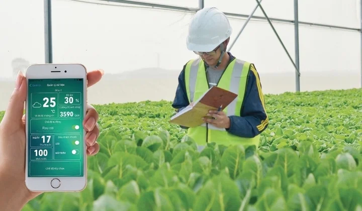 Vĩnh Phúc áp dụng công nghệ cao vào sản xuất nông nghiệp