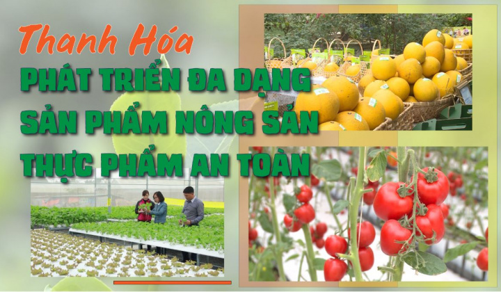 Thanh Hóa hướng đến Hội nghị kết nối cung - cầu và trưng bày giới thiệu sản phẩm nông sản thực phẩm an toàn