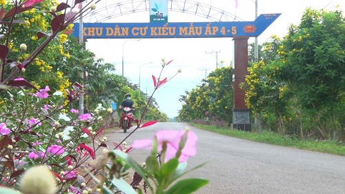 Huyện Cẩm Mỹ: Triển khai giải pháp trong công tác bảo vệ môi trường