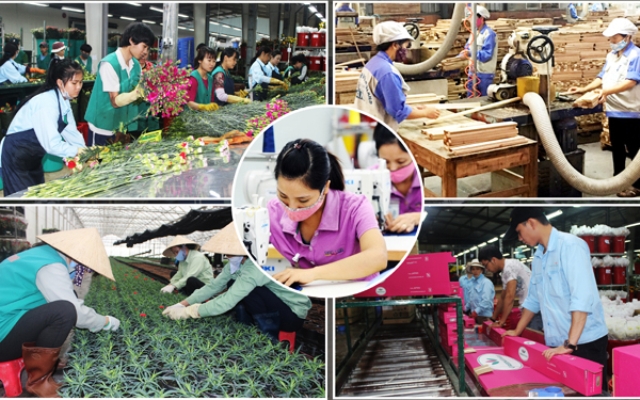 Viet Nam makes great strides in improving living standards: UN Resident Coordinator