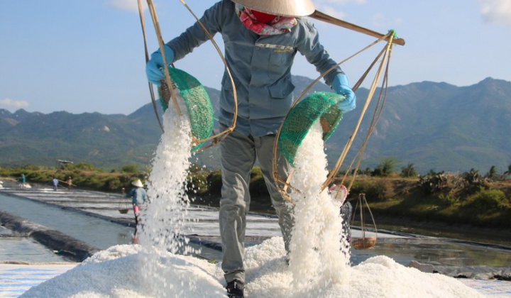 TP.HCM: Phát triển mô hình kinh tế gắn với xây dựng nông thôn mới