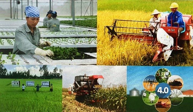 Nông dân Việt Nam có vai trò quan trọng trong sự nghiệp xây dựng và bảo vệ Tổ quốc