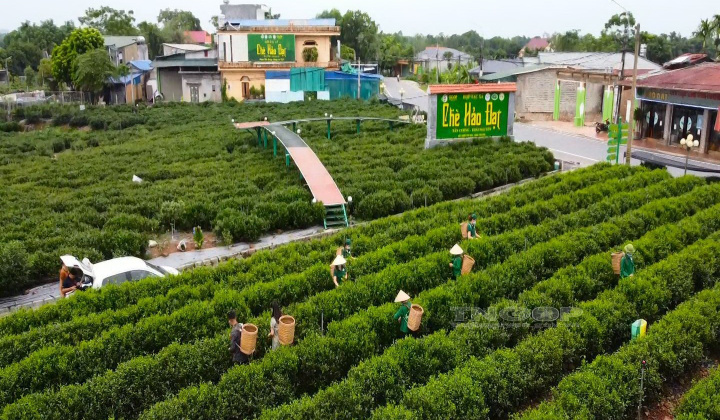 Thái Nguyên đẩy mạnh phát triển du lịch gắn với phát triển các sản phẩm nông sản, OCOP và làng nghề