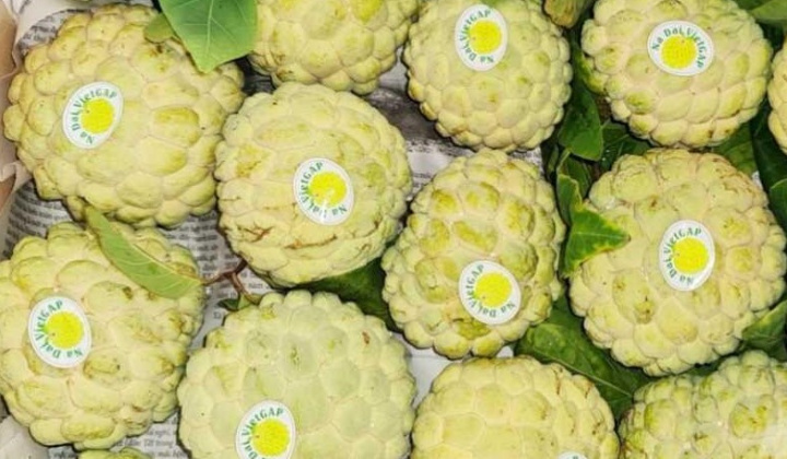 Đông Triều (Quảng Ninh): Tích cực đẩy mạnh chuyển đổi số nông nghiệp nông thôn