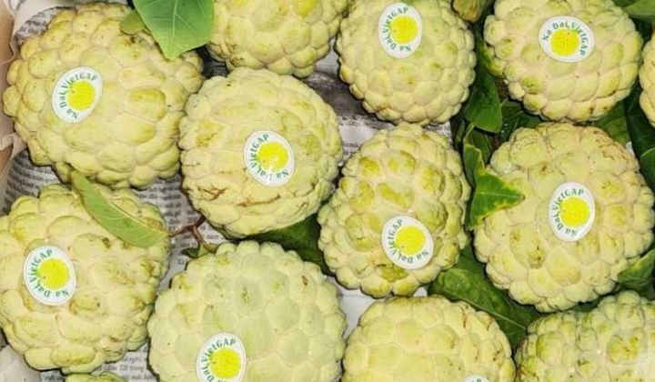 Đông Triều (Quảng Ninh): Tích cực đẩy mạnh chuyển đổi số nông nghiệp nông thôn