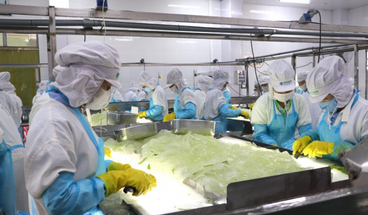 Tìm hướng ra bền vững cho nông sản