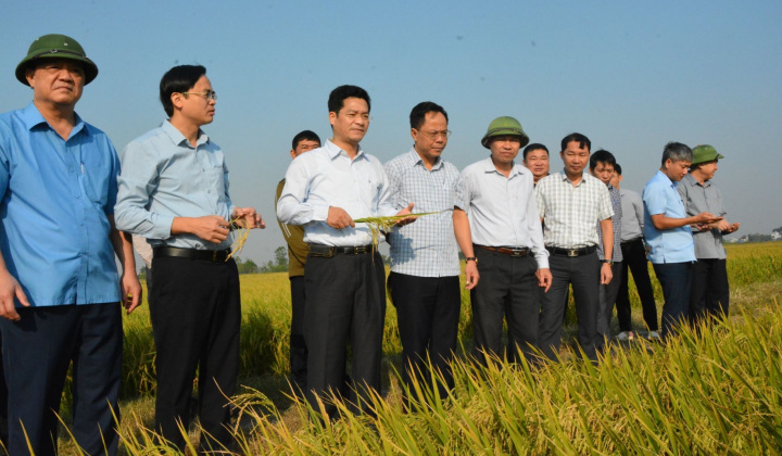 Nam Định hướng đến mục tiêu “nông nghiệp sinh thái, nông thôn hiện đại, nông dân văn minh”