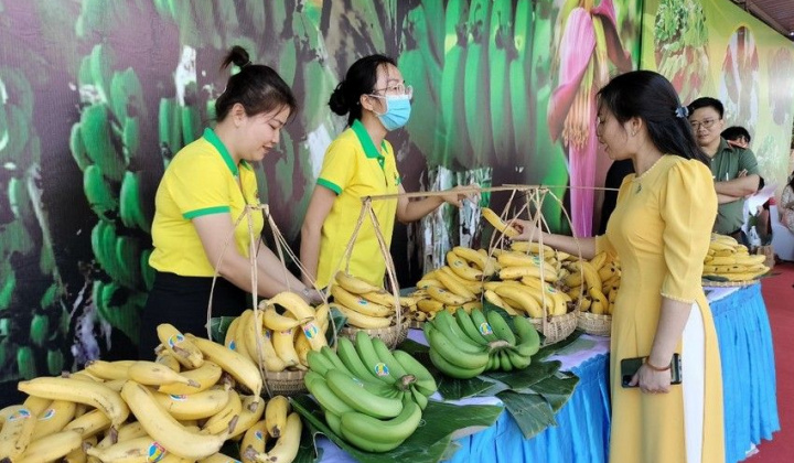 Đồng Nai đặt mục tiêu xuất khẩu 500.000 tấn chuối trong năm 2023