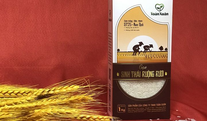 Gạo sạch Toản Xuân - Vươn tầm khu vực và quốc tế