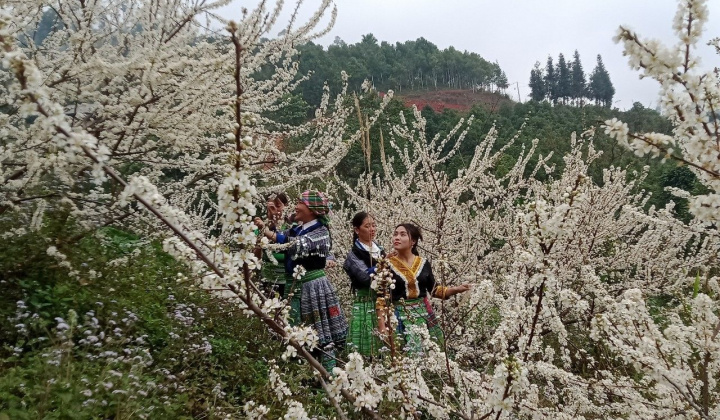 Độc đáo Tết rừng ở Nà Hẩu