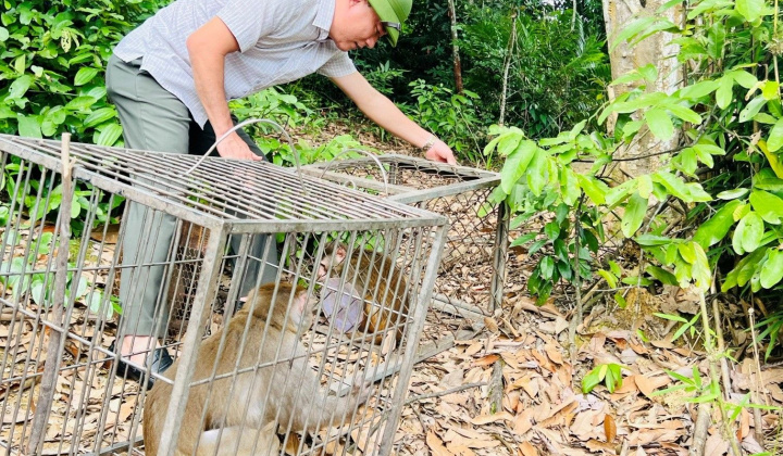 Vườn Quốc gia Vũ Quang - Nơi trở về của những  “Mảnh đời” động vật hoang dã