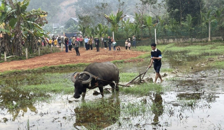 Sôi nổi lễ hội Lồng tồng ở Tân Hợp
