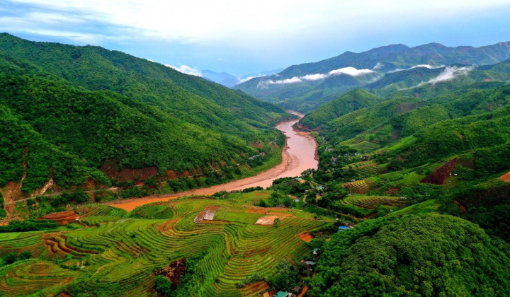 Thanh Hoá: Hỗ trợ gạo cho hộ nghèo trồng, chăm sóc, bảo vệ rừng huyện Mường Lát