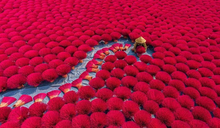Rực rỡ làng hương Quảng Phú Cầu
