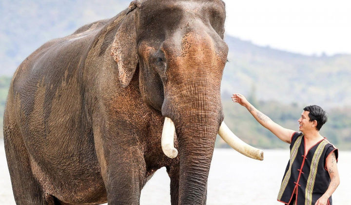 Đắk Lắk: Truyền thông điệp ý nghĩa “Tôi cười cùng voi, tôi ngừng cưỡi voi”