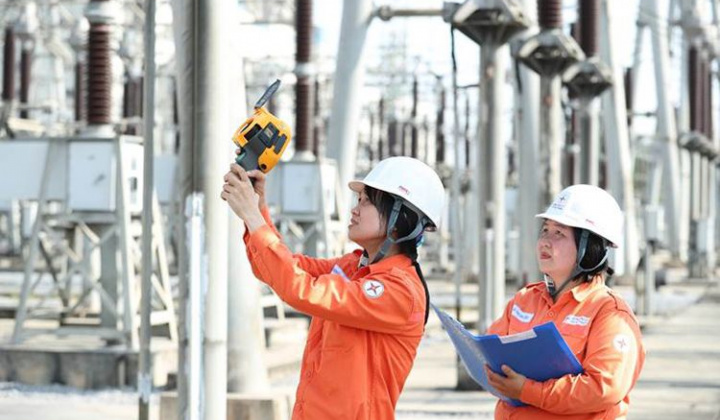 Hoa trên công trường EVNGENCO2