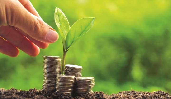 Efforts exerted to promote sustainable growth