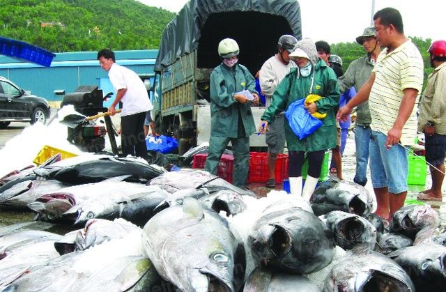 Thành lập Quỹ hỗ trợ phát triển nghề cá Khánh Hòa