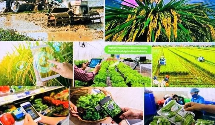 Xây dựng hình mẫu người nông dân Việt Nam trong thời kỳ hội nhập