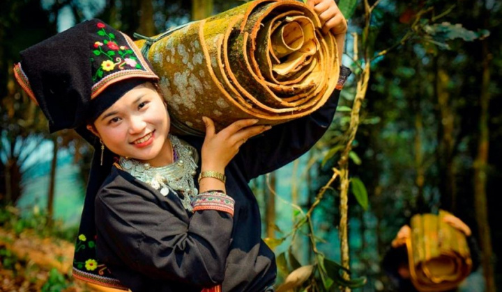 Bảo đảm an sinh xã hội cho lao động khu vực phi chính thức - Vấn đề và giải pháp