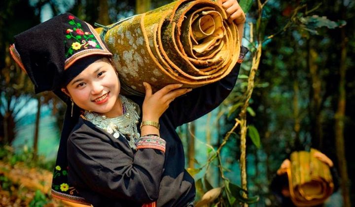 Bảo đảm an sinh xã hội cho lao động khu vực phi chính thức - Vấn đề và giải pháp