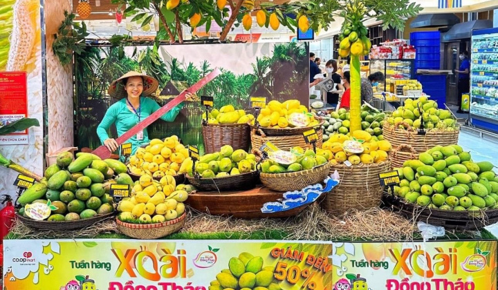 Tuần hàng xoài Đồng Tháp – Chiến lược quảng bá tích cực nông sản vùng đất Sen Hồng