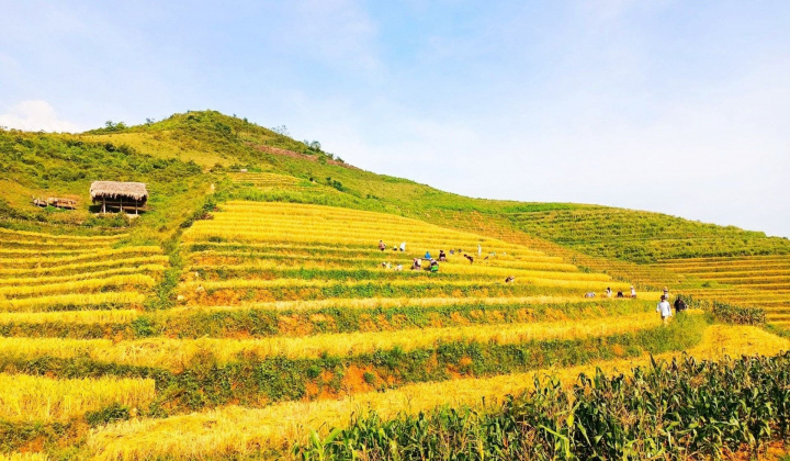 Du lịch Văn Yên hứa hẹn là điểm đến “an toàn, hấp dẫn, ấn tượng”