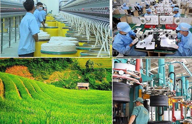 Phân công Thành viên Chính phủ làm việc với địa phương để đôn đốc, gỡ khó, thúc đẩy sản xuất kinh doanh