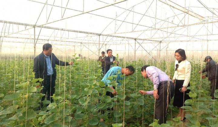 Yên Định phấn đấu về đích nông thôn mới nâng cao vào năm 2024