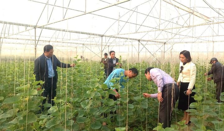 Yên Định phấn đấu về đích nông thôn mới nâng cao vào năm 2024