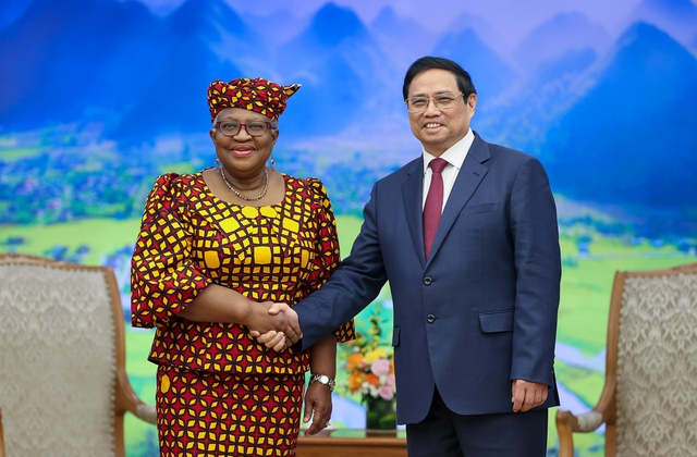 Tổng Giám đốc WTO: Thành công của Việt Nam cần được giới thiệu nhiều hơn với thế giới