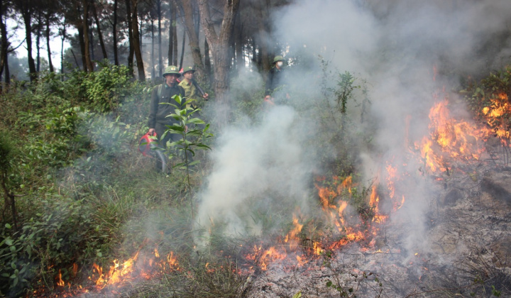 Thanh Hoá: Chủ động, tăng cường các biện pháp cấp bách phòng cháy, chữa cháy rừng