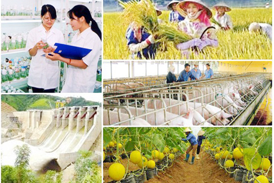 Quyết tâm giải ngân 100% vốn thực hiện các chương trình mục tiêu quốc gia