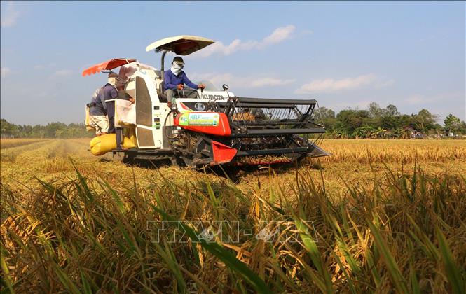 Vietnam joins international community addressing food security crisis