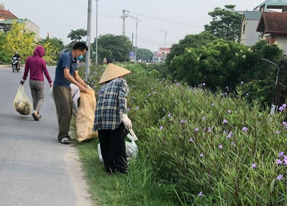 “Chủ nhật xanh” lan tỏa đến từng đường làng, ngõ xóm