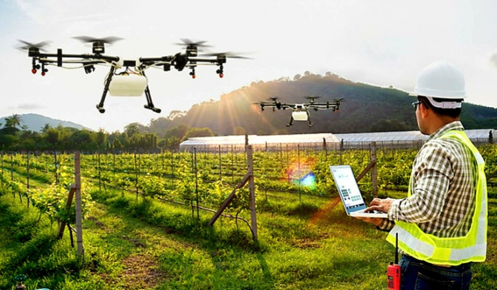 Chuyển đổi số để phát triển nông nghiệp công nghệ cao theo hướng đa chức năng, kinh tế tuần hoàn