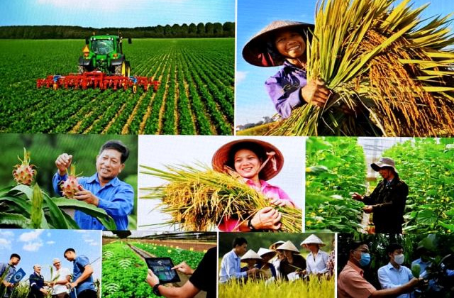 Thành lập, tổ chức và hoạt động của Quỹ Hỗ trợ nông dân