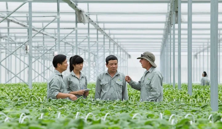 Đẩy mạnh chuyển đổi số trong khu vực kinh tế hợp tác, hợp tác xã