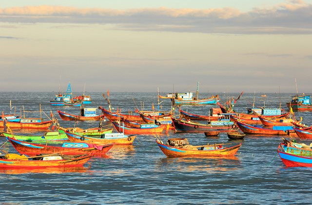 6 nhóm nhiệm vụ giải pháp nâng cao năng lực quản lý nhà nước về thủy sản